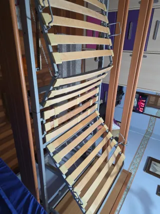 Cama ortopédica electrónica regulable