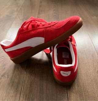 Puma Palermo Rojas
