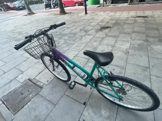 Bicicleta Niña Morada y Verde con Cesta
