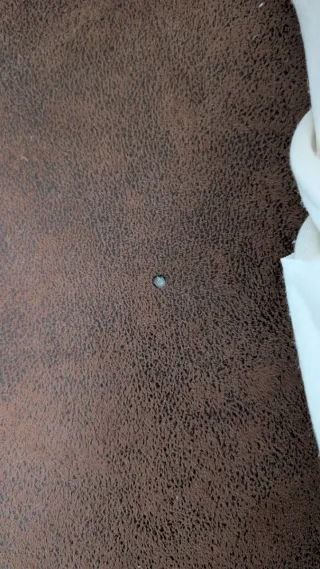 Sofá Chester Marrón 2 Plazas Muy cómodo y bonito.