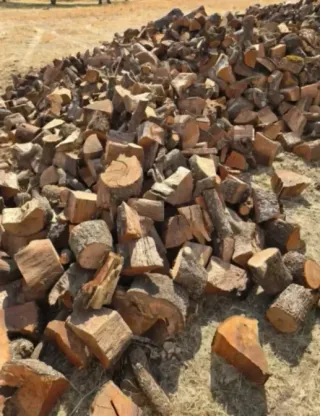 LEÑA DE ENCINA SECA 1° PESADA TLF: 645 69 90 80