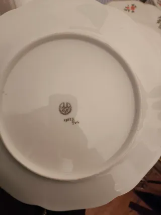 Platos Porcelana Checa Hass Czjzek Schlaggenwald