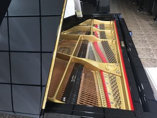 Piano de Cola Yamaha C3
