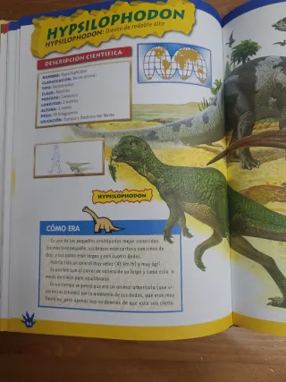 Gran libro de los dinosaurios (Spanish Edition)