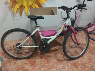Bicicleta niña