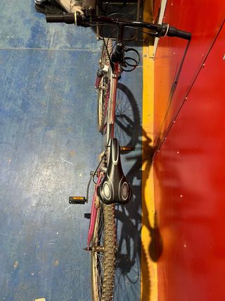Bicicleta Montaña Power Rosa