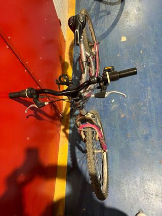 Bicicleta Montaña Power Rosa