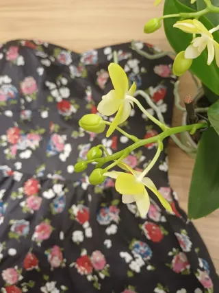 Top negro con estampado floral