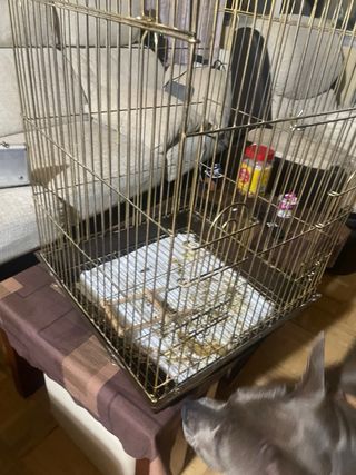 Jaula Loro Aluminio Dorado