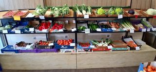 Cessione di una frutteria attiva