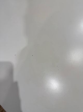 Mesa redonda blanca  For marks please see images