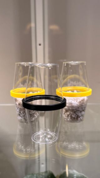 Cúpulas para Cormos o brotes.