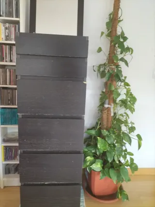 Cajonera con espejo/tocador