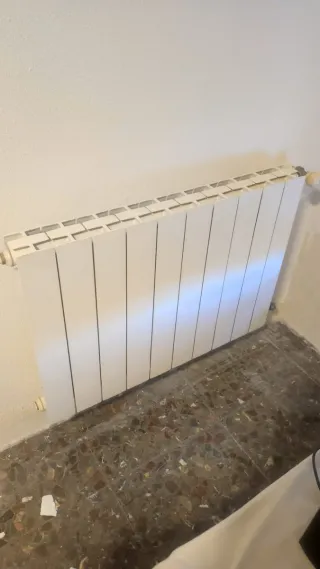 5 Radiadores, 2 Toalleros y Caldera