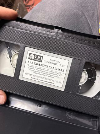 Cinture VHS National Geographic (3 unità)