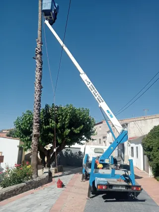 Nissan NT400 Cabstar 2016