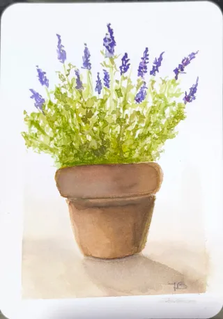 Acuarela original maceta de lavanda