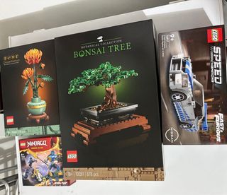 Lotto LEGO Botanicals e Speed Champions
