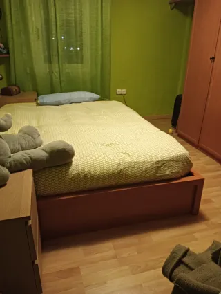 Cama de matrimonio y armario