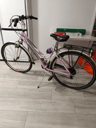 Bicicleta Paseo Mujer Rosa