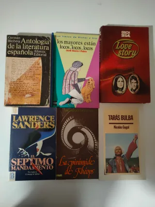 Lote 15 libros por 5 euros (01)