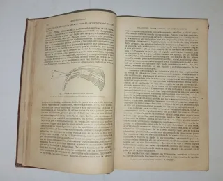 Terapeútica por X Arnozan y Vademecum Sandoz 1953