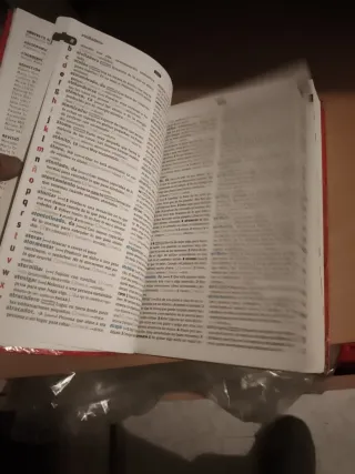 Diccionario Básico Primaria. Lengua española