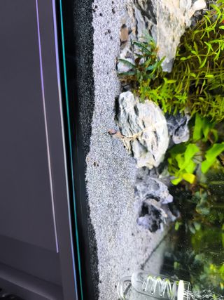 Sansibar dark JBL 10kg Nuevo, sin abrir. Acuario.