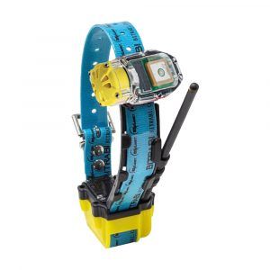 Collar Radio + GPS + Beeper para perros de caza