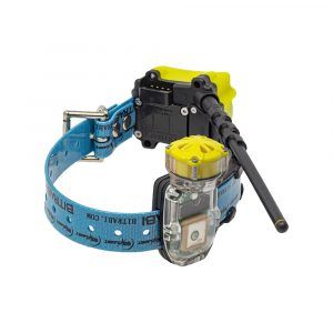 Collar Radio + GPS + Beeper para perros de caza