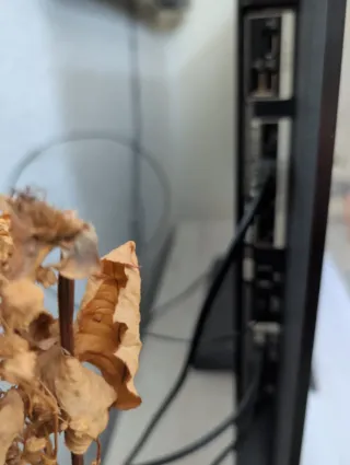 TV LG OLED 55 Negro 4K