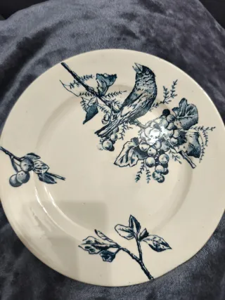 Vajilla Terre de Fer