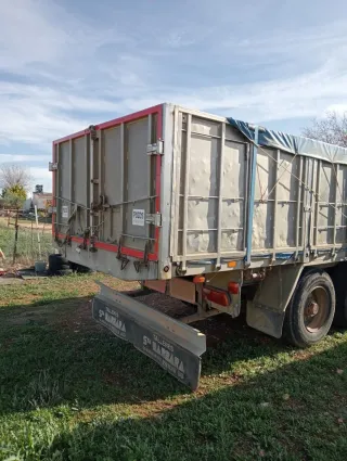 Vendo cabeza precio negociable