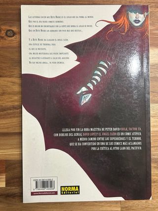 El Ángel Caído #1: Poco más que una bestia (Ang...