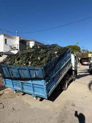 CONTENEDORES DE PODA – MARINA BAIXA