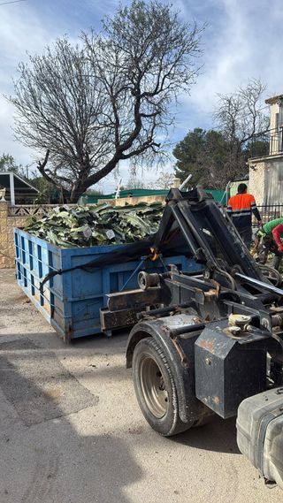 CONTENEDORES DE PODA – MARINA BAIXA