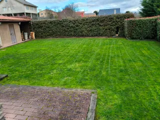 Jardinería ,podas ,riegos, mantenimientos