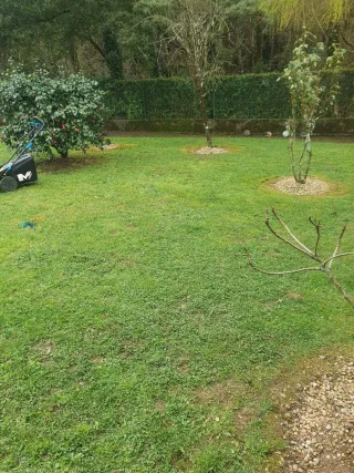 Jardinería ,podas ,riegos, mantenimientos