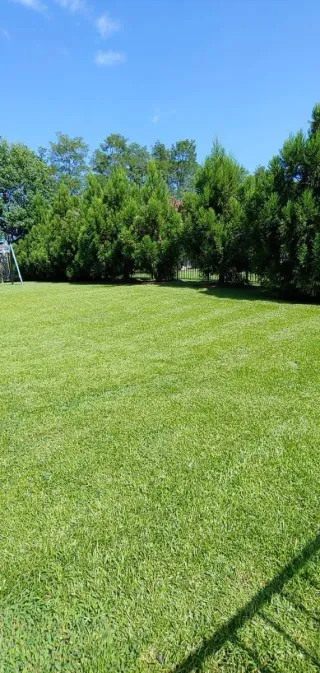 Jardinería ,podas ,riegos, mantenimientos