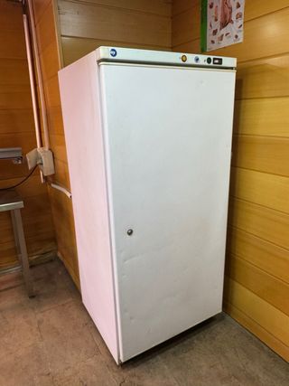 Congelador vertical industrial