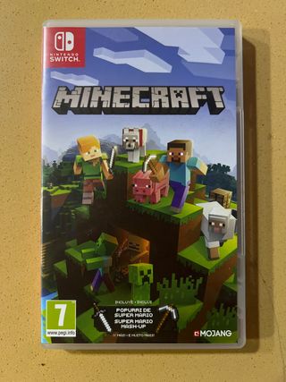 Minecraft Nintendo Switch