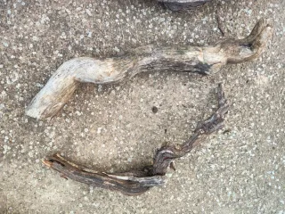 Tronco decorativo para terrario sin tratar