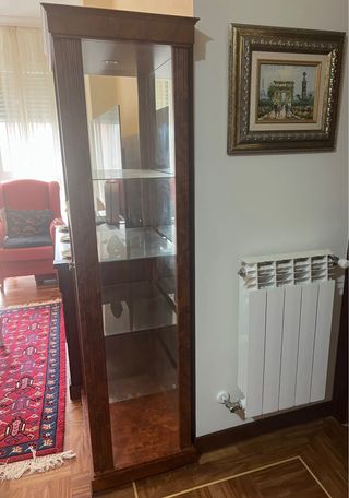 Vitrina de madera y cristal con foco superior