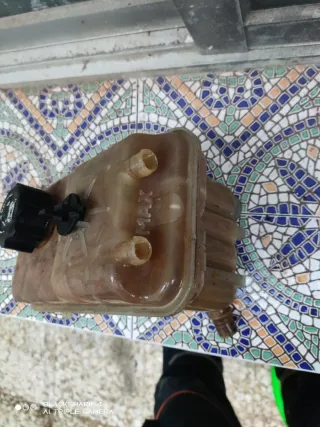 Bote Refrigerante Peugeot 407