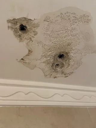 Todo Hogar Servicios: Reparaciones y más