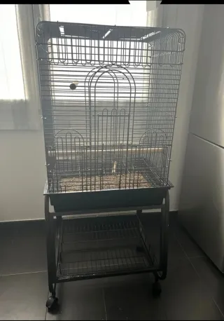 Jaula grande loro/ninfas