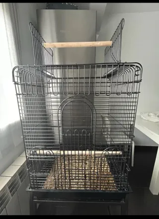 Jaula grande loro/ninfas