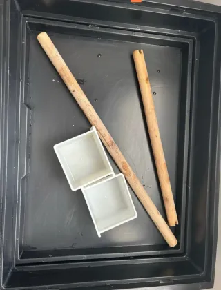 Jaula grande loro/ninfas