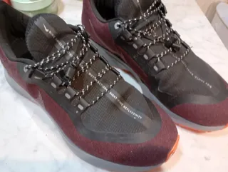 Zapatillas Nike Pegasus 35 Shield