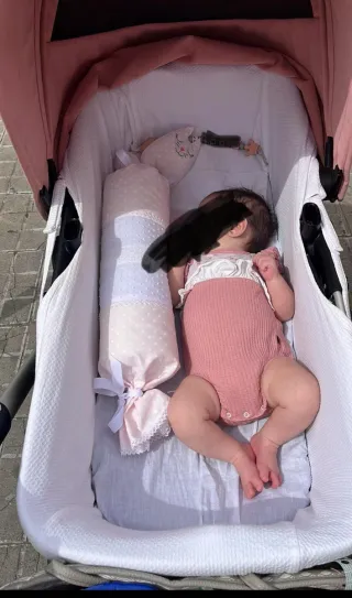 Cochecito Bugaboo Rosa y Negro